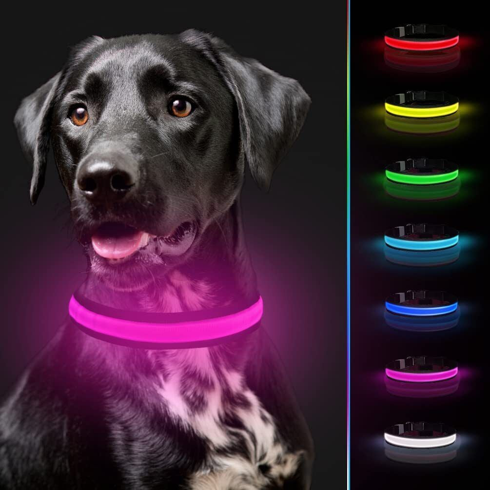 USB Rechargeable LED Pet Dog Collar